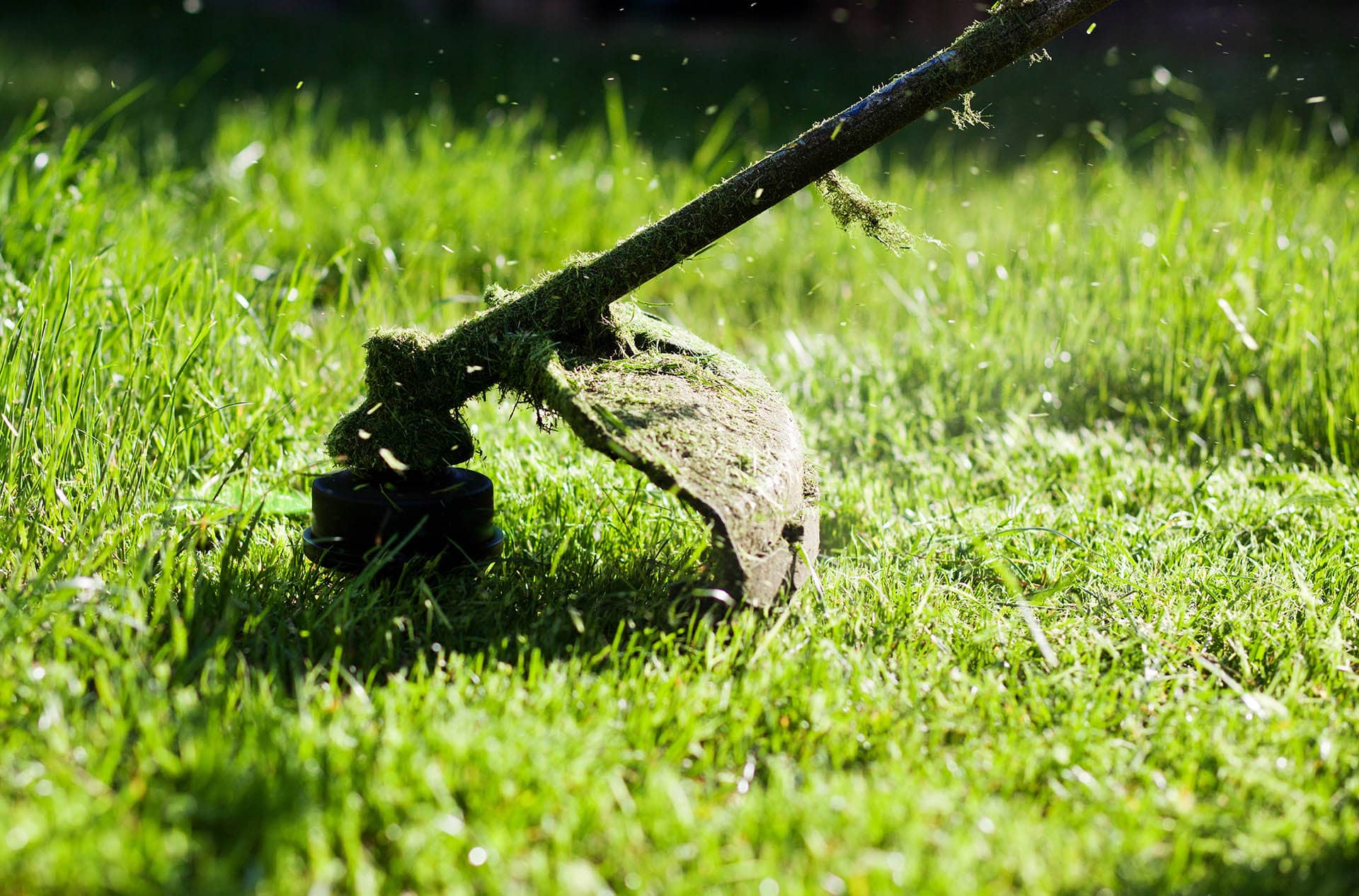 lawn care image