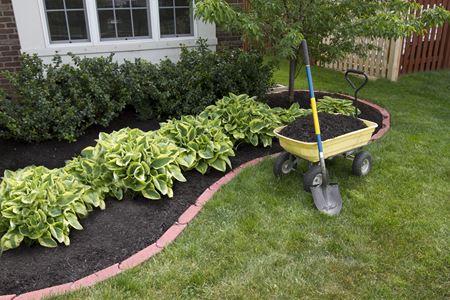 Mulch And Pine Straw: A Winning Combination For A Healthy Landscape Thumbnail