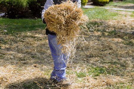 Pine Straw Installation